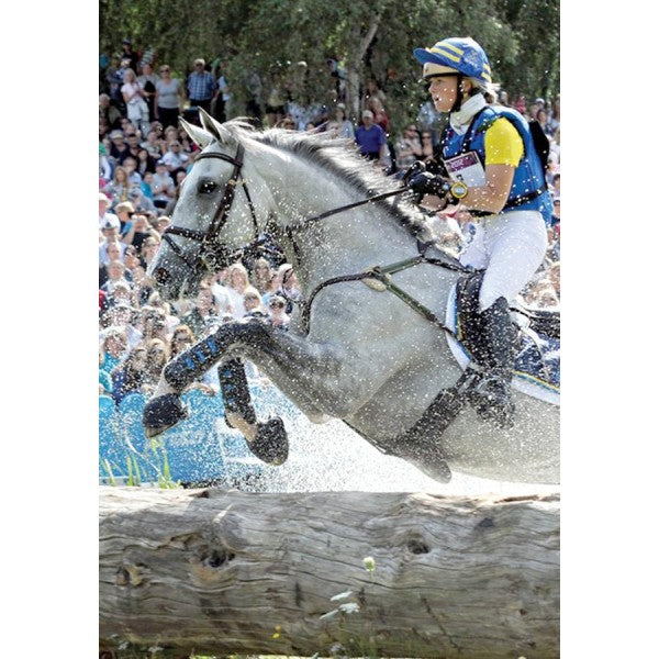 Set De Bottes Premier Equine Air Refroidi Pour Cheval - Noir, Taille Standard, Avant + Arrière - Occasion