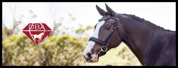 DBA Havana Italian Leather Anatomical Bridle with Convertible Noseband and Elegant Plain Leather brow band