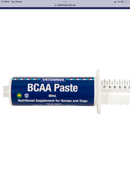 Vetsense - BCAA paste 60ml