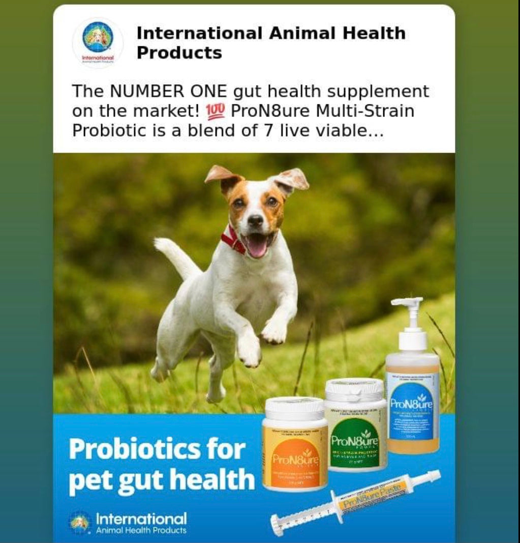 IAH ProN8ure probiotics for gut health