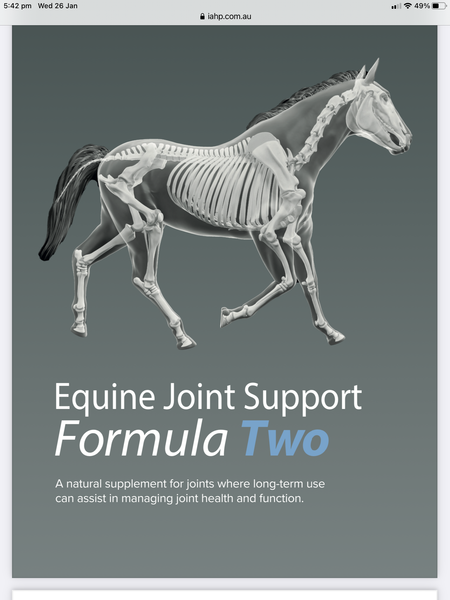 IAH Equine Joint Formula 2