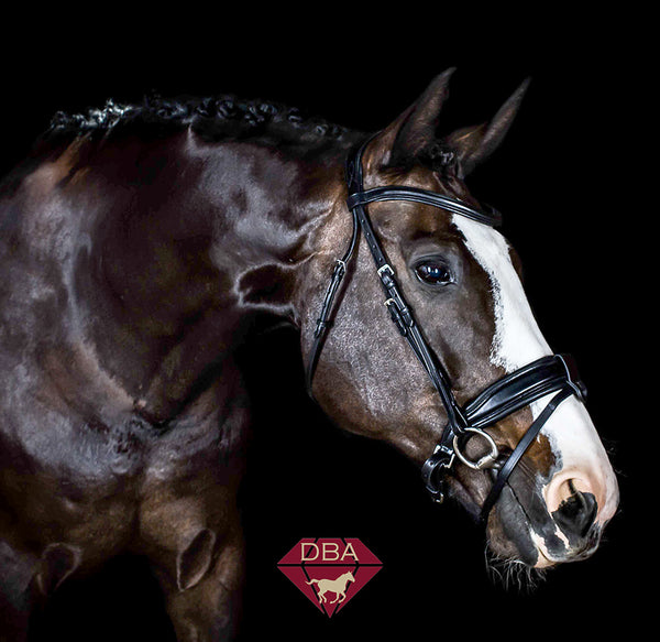 DBA Black Italian Leather Anatomical Bridle with Convertible Noseband and Curved Austrian Crystal brow band